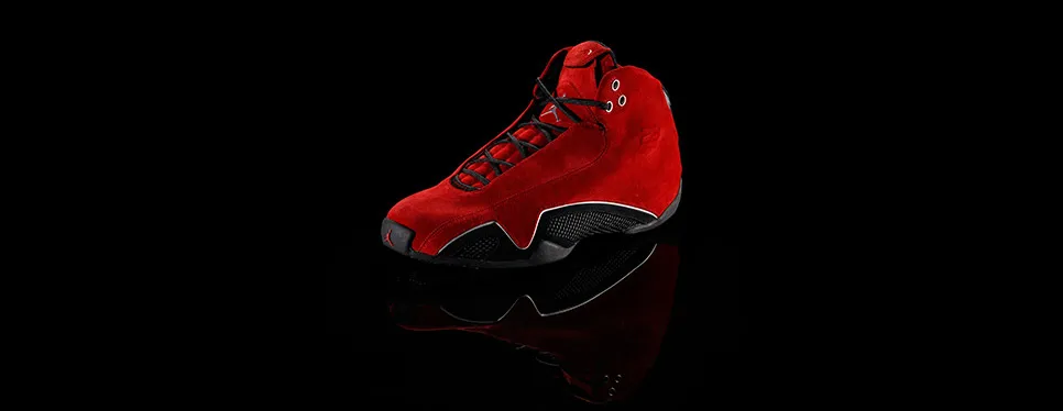 View Air Jordan 21 (XXI) history